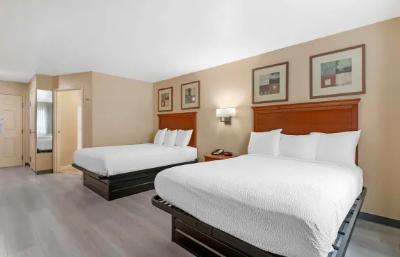 Studio Suite - 2 Full Beds