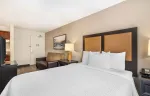 Deluxe Studio - 1 King Bed