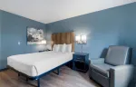 Studio Suite - 1 Queen Bed