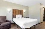 Superior Suite - 1 Queen Bed