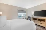 1 Bedroom Suite - 1 King Bed