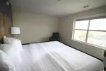 1 Bedroom Suite - 1 King Bed