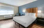 1 Bedroom Suite - 1 Queen Bed